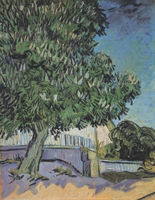 Vincent Van Gogh Chestnut Tree in Blossom (nn04) china oil painting image